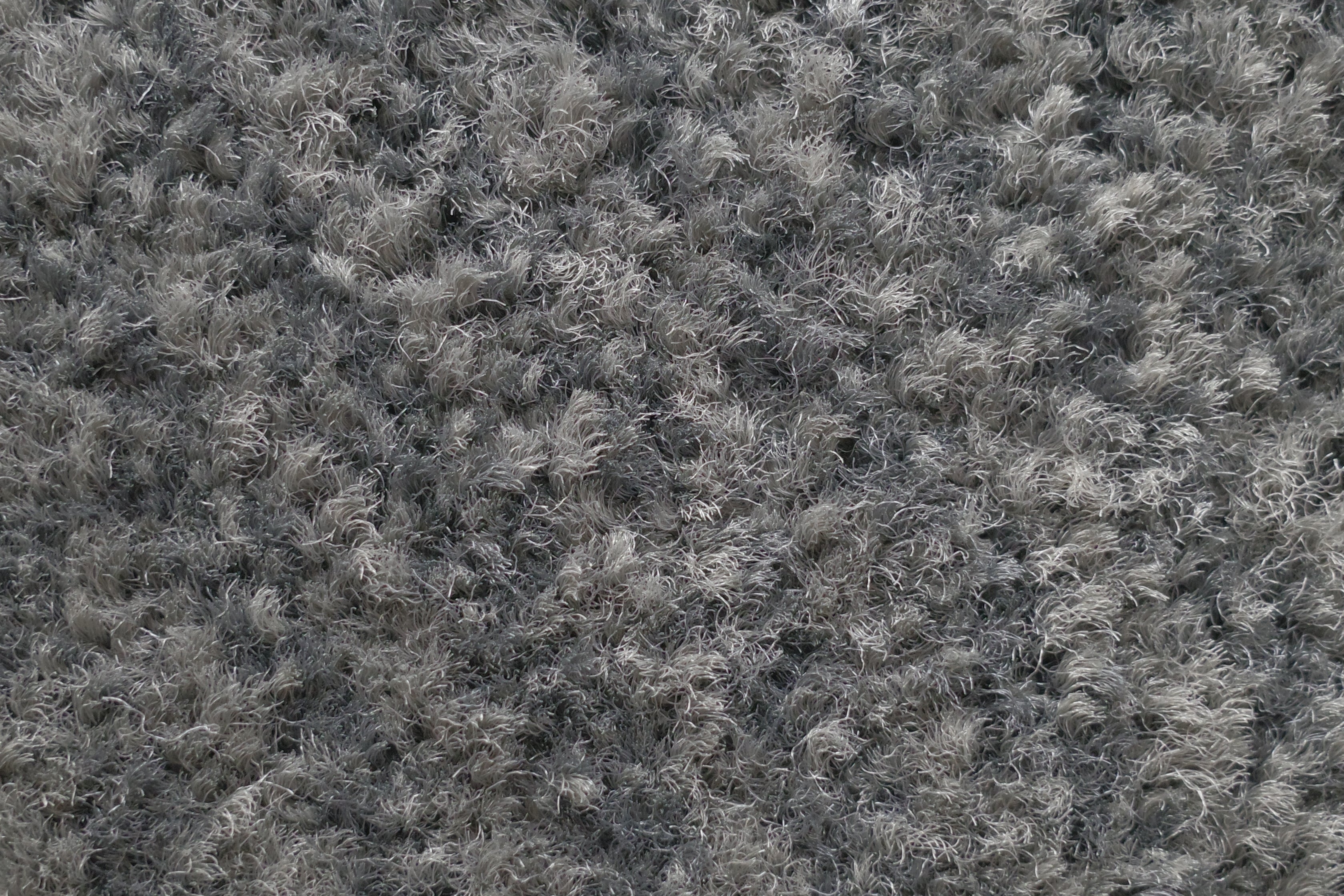 CSC Solution-dyed Nylon, Dust-Trapping Non-Slip Indoor Floor Mat